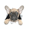 Personality Puppy 3D Car Stickers Waterproof Car Body Block Scratches Simulation Stickers(Pugs)