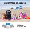 Waterproof Dog Training Collar with Remote - Black (One Dog)