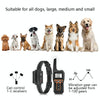 PaiPaitek PD529V-1 Dog Training Collar 1000m Remote Vibration Anti Bark
