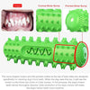 Dog Squeaky Chew Toy with Tooth Cleaning, Floating, Green