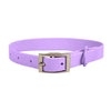 Horsarine PVC Dog Collar, Small, Purple - Waterproof & Durable