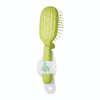 Portable Cactus Folding Air Cushion Comb Anti-Static Fine Tooth Scalp Massage Comb(Dark Green)