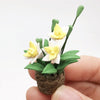 1:12 Mini Doll House Toy Simulation Yellow Cattleya Flower Model(Yellow)