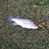 HENGJIA PE018 10cm/13g Propeller Tractor Shaped Hard Baits Fishing Lures Tackle Baits Fit Saltwater and Freshwater (5#)
