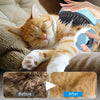 Pet Spray Brush for Cats & Dogs - Dolphin Pink - USB Rechargeable