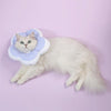 Flower E-Collar for Cats & Small Dogs, Purple, M