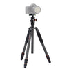 Fotopro X-go Max E Portable Collapsible Carbon Fiber Camera Tripod with Dual Action Ball Head