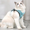 Cat Harness & Leash, Green, Small (1.5-3kg)