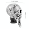 Universal Vehicle Car Creative Skull Double Heads Shaped Shifter Cover Manual Automatic Gear Shift Knob (Silver)