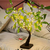 FS-SD057 White Fruit Tree Light LED Christmas Party Home Decorative Light(Warm White)