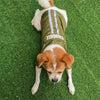 Foldable Dog Raincoat, Waterproof, Reflective, Medium (Dark Green)