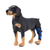 HJ19 Pet Surgery Rehabilitation Back Leg Protector Walking Aids, Size: L(Blue Left Back Leg)