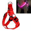 LED Dog Harness, Red, Small (32-40cm Chest) - Light Up Safety