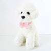 Sequin Bow Tie Cat Collar, Adjustable, S 17-32cm
