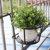 Iron Metal Railing Potted Plant Shelves Hanging Flowerpot Rack (Black)