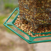 Hanging Wild Bird Feeder, Weatherproof & Collapsible (Green)