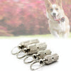 10 Brass Dog ID Tags - Pet Collar Pendant with Address Labels