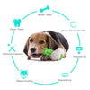 Dog Squeaky Chew Toy with Tooth Cleaning, Floating, Green