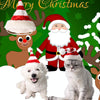 Christmas Dog Hat, Red & White Stripe, S/M