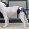 Dog Nappies Female XXL, Washable, Leakproof Period Pants