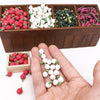 10 PCS 1:12 Mini House Toy Simulation White Radish for Kitchen Decoration(White)