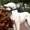 Reflective Dog Collar & Lead Set, Blue, Small (2.0*35*40cm)