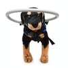 Blind Dog Halo S (Blue) - Anti-Collision Ring for Small Dogs (4-10kg)