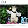 Small Black Pet Feather Wings for Halloween & Christmas Costumes
