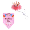 Pet Birthday Crown & Scarf Set, Balloon Pink - Cat/Small Dog