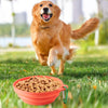 Portable Foldable Dog & Cat Bowl, 350ml, Blue