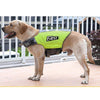 Reflective Printed Pet Dog Life Jacket Swimsuit, Size: S(Fluorescent Green)