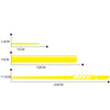 5 in 1 Car Styling Stripe Hood PVC Sticker Auto Decorative Sticker (Yellow)