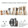 PaiPaitek PD529-3 Dog Training Collar - 3 Dogs, 1000m Range, Rechargeable
