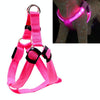 LED Dog & Cat Harness, Pink, Medium (38-50cm) - Light Up Safety