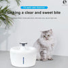 Automatic Pet Water Dispenser 2.5L | Electric & Filtered | Night Light