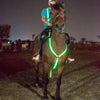 Outdoor Equestrian Equipment LED Light Chest Strap, Specification: Blue
