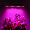 45W 144LEDs Full Spectrum Plant Lighting Fitolampy For Plants Flowers Seedling Cultivation Growing Lamps LED Grow Light AC85-265V US