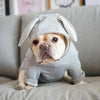 Grey Rabbit Ear Pet Sweatshirt, XL (Dog & Cat)