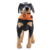 Dog Life Jacket, Small, Orange - For 6-9kg Dogs