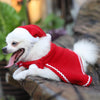 Christmas Dog Cloak & Hat Costume Set | Small Pets
