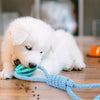 Dog Treat Ball Toy, Rope Tug, Teeth Cleaning, Orange-Red