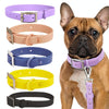 PVC Pet Loop Horsarine Dog Collar, Size: L(Blue)