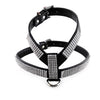 Rhinestone Dog Harness, PU Leather, Black, M, with Lead