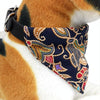 Cotton Pet Bib & Headband, Blue, XS (Cats & Small Dogs)