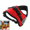 Padded Dog Harness, Red, Medium (50-65cm Chest)
