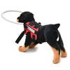 Dog Blind Halo, Red, M (11-18kg) - Anti-Collision Ring