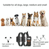 PaiPaitek PD529-2 Dog Training Collar - 1000m Range, Dual Dog