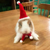Christmas Lizard Costume, Hat & Scarf Set