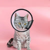 Pet Cone E-Collar for Cats & Dogs, Anti-Scratch & Bite, 8cm