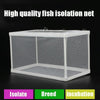 Aquarium Fish Breeding Isolation Box | Large | Fry Incubator